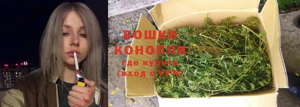 ПСИЛОЦИБИНОВЫЕ ГРИБЫ Верхний Тагил